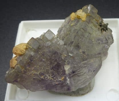 Fluorite à Fantômes et Calcite ferrifère, Fontsante, Var.