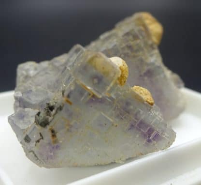 Fluorite à Fantômes et Calcite ferrifère, Fontsante, Var.