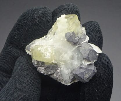 Galène octaédrique et Fluorite jaune, mine de Fontsante, Var.