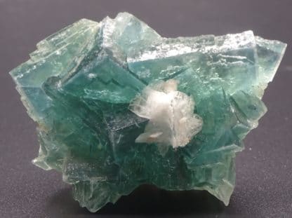 Fluorite verte, Barytine, filon du Figuier, Fontsante, Var.