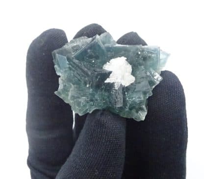 Fluorite verte, Barytine, filon du Figuier, Fontsante, Var.