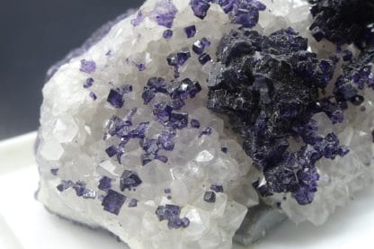 Fluorite violette "parquetée" sur Quartz, Saint-Augustin, Fontsante, Var.