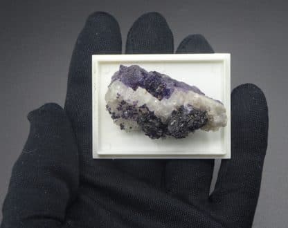 Fluorite violette "parquetée" sur Quartz, Saint-Augustin, Fontsante, Var.