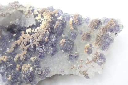 Calcite ferrifère sur Fluorite violacée, Fontsante, Var.