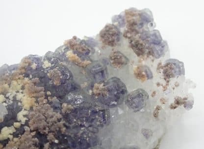 Calcite ferrifère sur Fluorite violacée, Fontsante, Var.