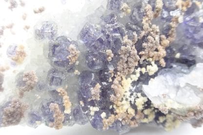 Calcite ferrifère sur Fluorite violacée, Fontsante, Var.