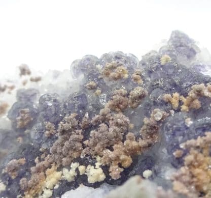 Calcite ferrifère sur Fluorite violacée, Fontsante, Var.