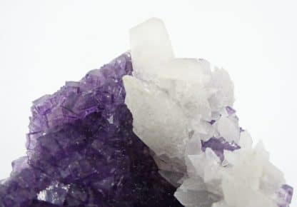 Calcite blanche sur Fluorite violette, mine de Fontsante, Var.