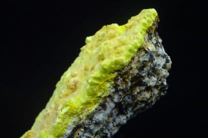 Sabugalite sur Phosphuranylite, mine de Margnac, Haute-Vienne (Limousin).