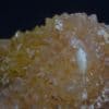 Quartz orangé, L’Argentolle, Saint-Prix, Saône-et-Loire (Morvan).