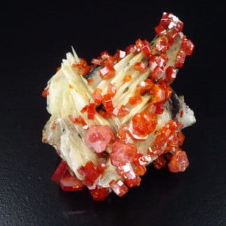 Vanadinite sur baryte crêtée, district de Mibladen, Maroc.