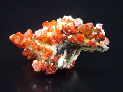 Vanadinite sur baryte crêtée, district de Mibladen, Maroc.