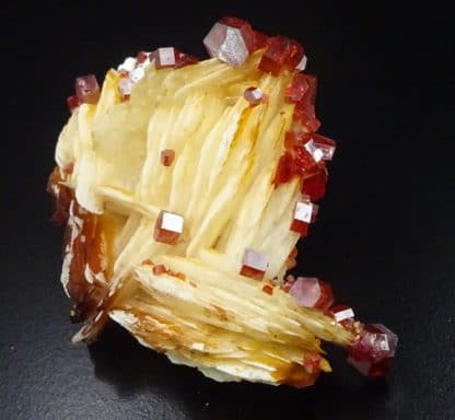 Vanadinite hexagonale sur baryte, Mibladen, Maroc.