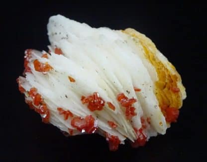 Vanadinite sur baryte en pompon, Mibladen, Maroc.