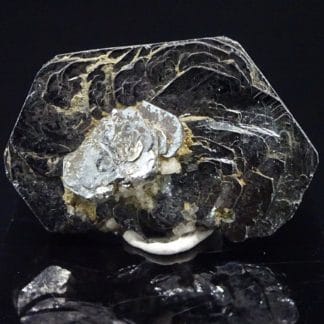 Hématite (rose de fer), Tavetsch, Grisons, Suisse.