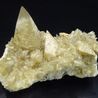 Calcite en scalénoèdres, Loverval - Couillet, Belgique.