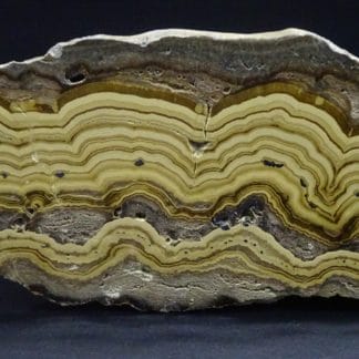 Schalenblende polie, Schmalgraf, Lontzen, Vieille-Montagne, Belgique.