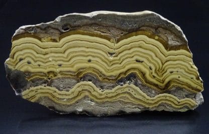 Schalenblende polie, Schmalgraf, Lontzen, Vieille-Montagne, Belgique.