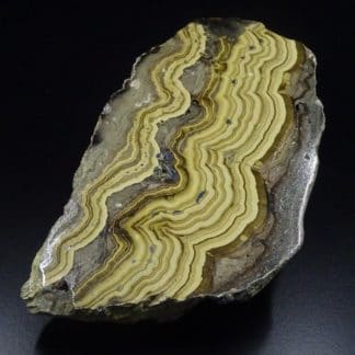 Schalenblende polie, Schmalgraf, Lontzen, Vieille-Montagne, Belgique.