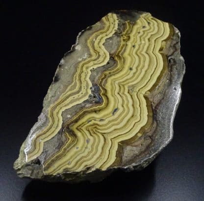 Schalenblende polie, Schmalgraf, Lontzen, Vieille-Montagne, Belgique.