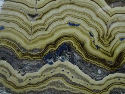 Schalenblende polie, Schmalgraf, Lontzen, Vieille-Montagne, Belgique.