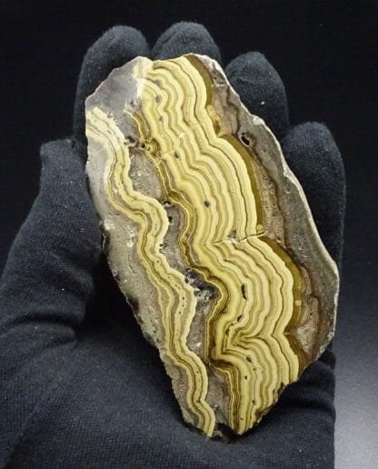 Schalenblende polie, Schmalgraf, Lontzen, Vieille-Montagne, Belgique.