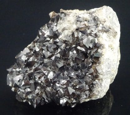 Quartz morion, Richelle, Visé, Liège, Wallonie, Belgique.