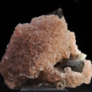 Fluorine rose, Quartz fumé, L’Aiguille Verte, Chamonix, Massif du Mont-Blanc, Haute-Savoie.