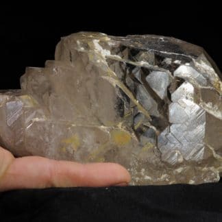 Quartz Gwindel, L’Aiguille Verte, Chamonix, Massif du Mont-Blanc, Haute-Savoie.