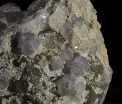 Quartz, Fluorine violette, L’Aiguille Verte, Chamonix, Massif du Mont-Blanc, Haute-Savoie.