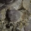 Quartz, Fluorine violette, L’Aiguille Verte, Chamonix, Massif du Mont-Blanc, Haute-Savoie.
