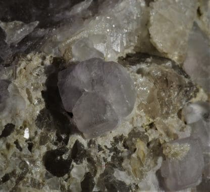 Quartz, Fluorine violette, L’Aiguille Verte, Chamonix, Massif du Mont-Blanc, Haute-Savoie.