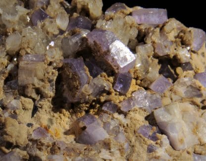 Apatite violette, Ehrenfriedersdorf, Chemnitz, Saxe, Allemagne.