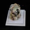 Anglésite, Malachite, Bindmeimite, Barytine, Le Mas-Dieu, Laval-Pradel, Gard