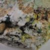 Anglésite, Malachite, Bindmeimite, Barytine, Le Mas-Dieu, Laval-Pradel, Gard