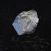 Rutile, Baie Cornouailles, Concarneau, Finistère, Bretagne.
