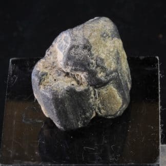 Rutile maclé, Baie Cornouailles, Concarneau, Finistère, Bretagne.