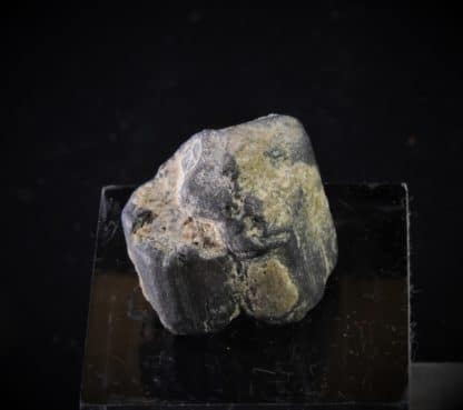 Rutile maclé, Baie Cornouailles, Concarneau, Finistère, Bretagne.