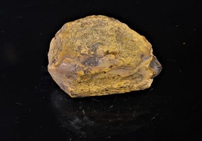 Aetite (Limonite), Pierre d’Aigle, Normandie.