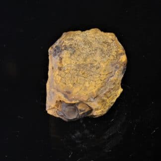 Aetite (Limonite), Pierre d’Aigle, Normandie.