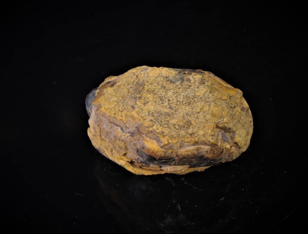 Aetite (Limonite) ou 