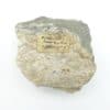 Chalcopyrite, mine de Chevinay, près de Lyon, Rhône.