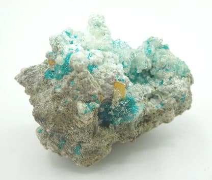 Dioptase et wulfénite, Mammoth-Saint Anthony Mine, Tiger, Arizona, USA.