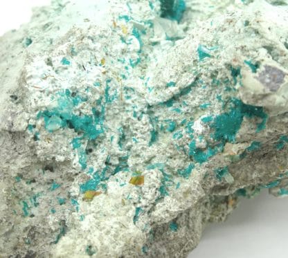 Dioptase, wulfénite et cerusite, Mammoth-Saint Anthony Mine, USA.