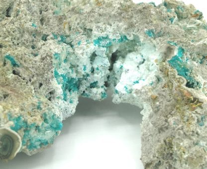 Dioptase, wulfénite et cerusite, Mammoth-Saint Anthony Mine, USA.