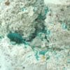 Dioptase, wulfénite et cerusite, Mammoth-Saint Anthony Mine, USA.