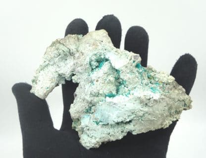 Dioptase, wulfénite et cerusite, Mammoth-Saint Anthony Mine, USA.