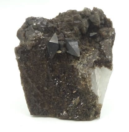 Cristaux d'anatase (XXL) sur quartz, massif de la Lauzière, Savoie.