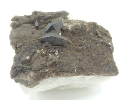 Cristaux d'anatase (XXL) sur quartz, massif de la Lauzière, Savoie.