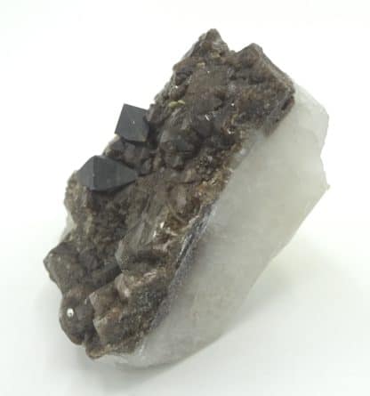 Cristaux d'anatase (XXL) sur quartz, massif de la Lauzière, Savoie.